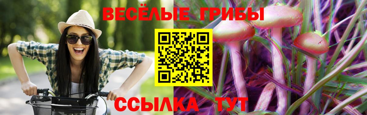 Шахты  наркошоп  Вход с VPN  Псилоцибиновые грибы мухоморы 