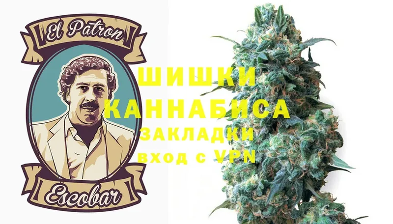 Конопля OG Kush  Шахты 