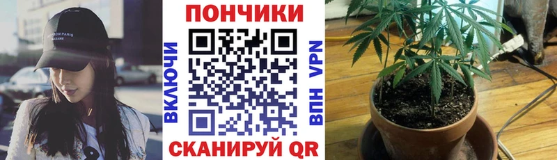 маркетплейс телеграм  Шахты  Шишки марихуана марихуана 